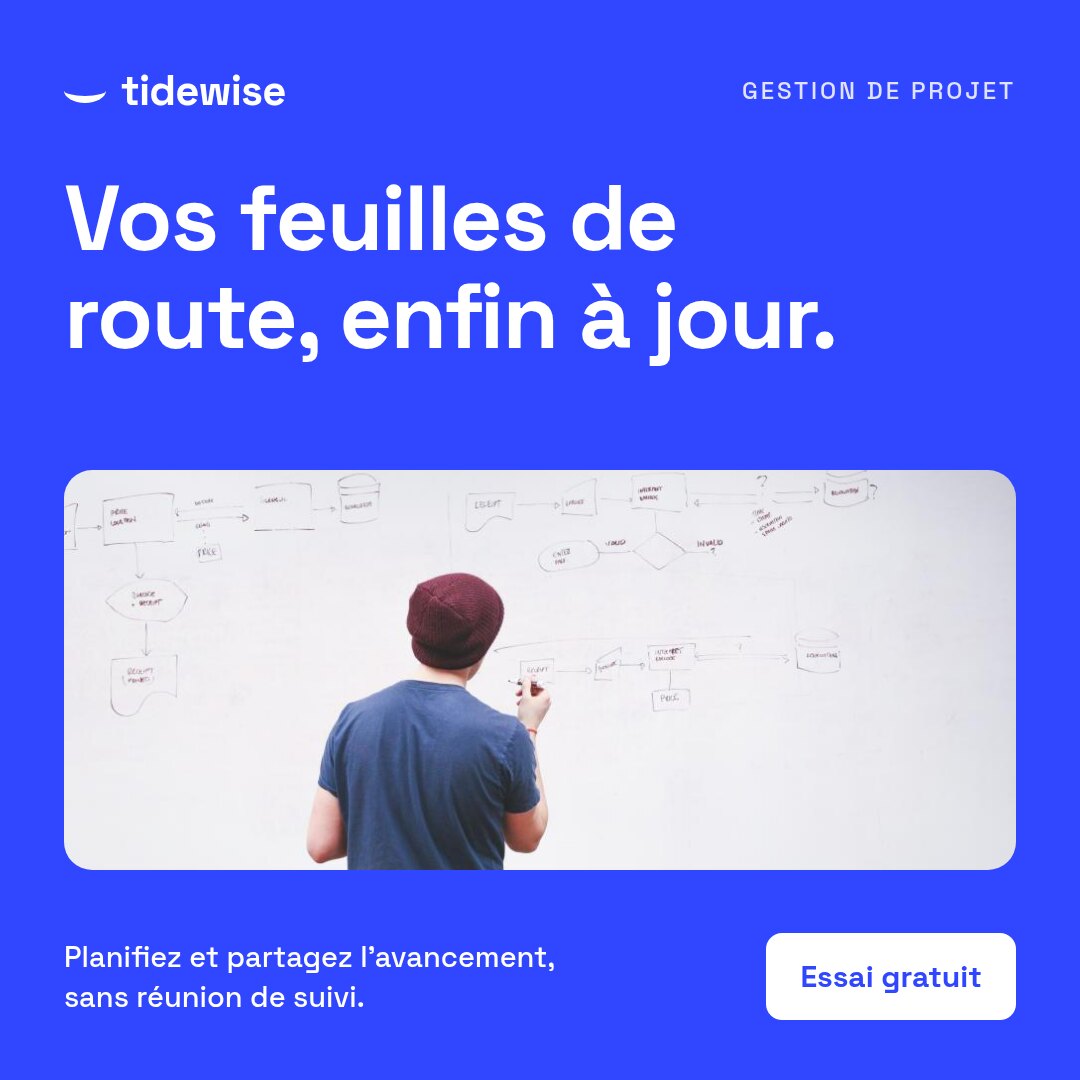 Tidewise Meta Feed ad, French
